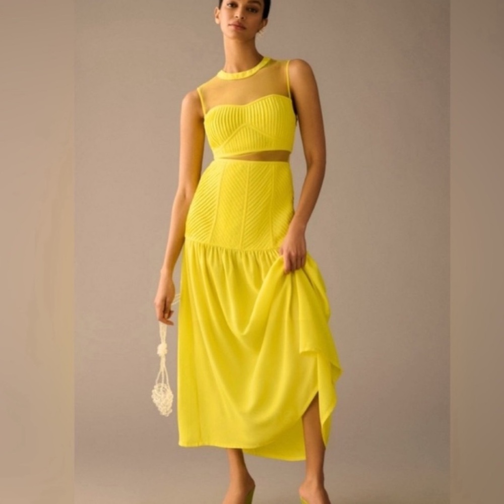 Vineet Bahl textured sheer overlay dress